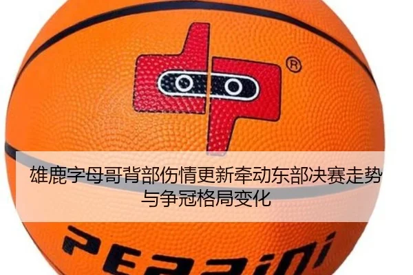 雄鹿字母哥背部伤情更新牵动东部决赛走势与争冠格局变化